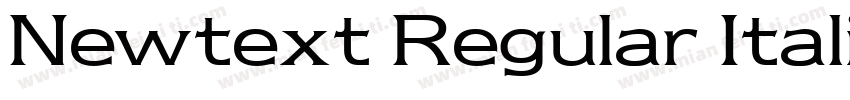 Newtext Regular Italic BT字体转换